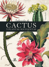 SELECCION DE CACTUS Y PLANTAS SUCULENTAS - 9788466241021